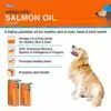 Drools Absolute Salmon Oil Syrup
