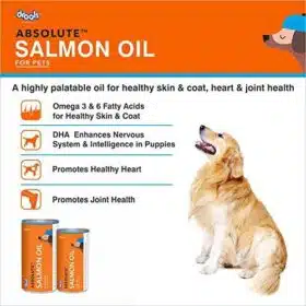 Drools Absolute Salmon Oil Syrup
