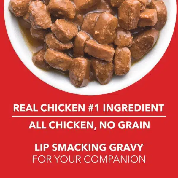drools puppy chunks gravy