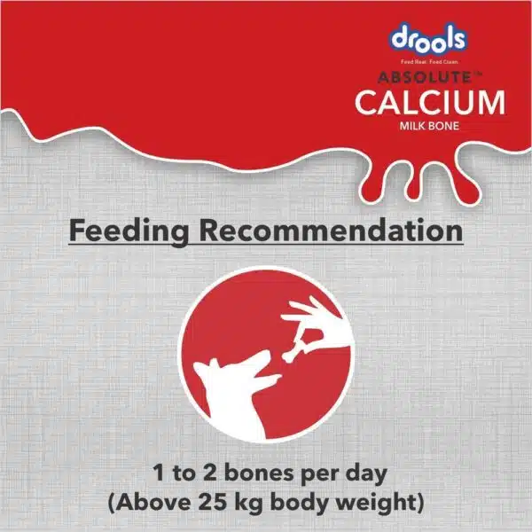 drools calcium bone jar