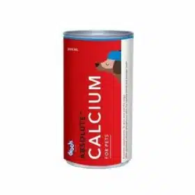 Drools Absolute Calcium Syrup