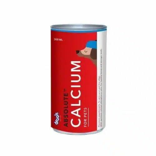 Drools Absolute Calcium Syrup