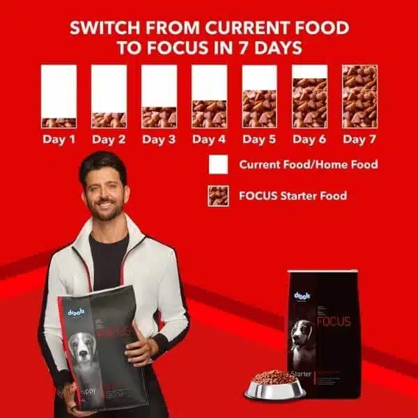 Drools Focus Starter Dog Food (3)
