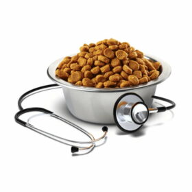 Farmina Vetlife Gastrointestinal for dietetic food feline formula cat food 2kg (1)