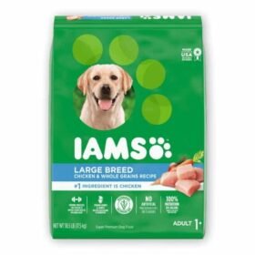 IAMS Large Breed Dry Food