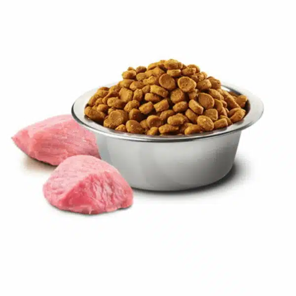 N&D Prime Chicken Kitten dry food for Cat (1)