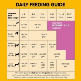 Guide of dog feeding diet