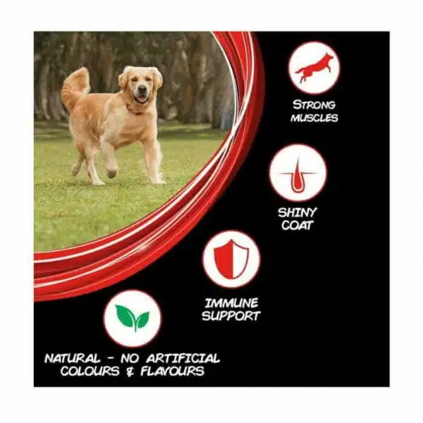 Purina Supercoat Adult All Breed Chicken Dog Dry Food (2)