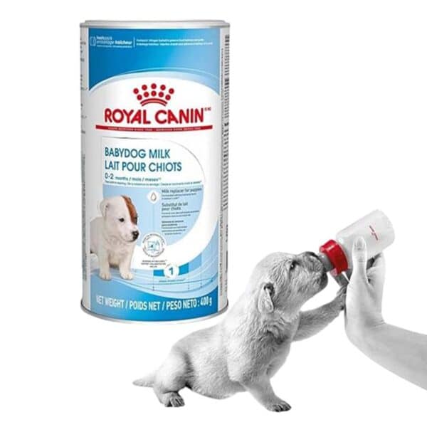 Royal Canin Baby Dog 1st Age Milk