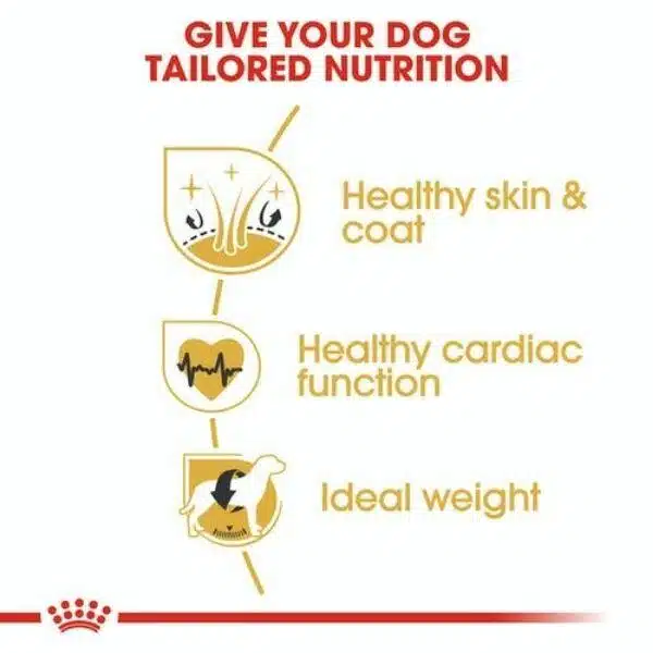 Royal Canin Golden Retriever Adult for dry food (2)
