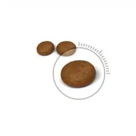 Royal Canin Hair & Skin Cat Dry Food (1)