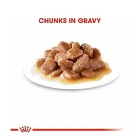 Royal Canin Intense Beauty Chunks in Gravy Pouch Pack 12 X 85g (4)