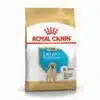 Royal Canin Labrador Retriever Puppy Dry Dog Food