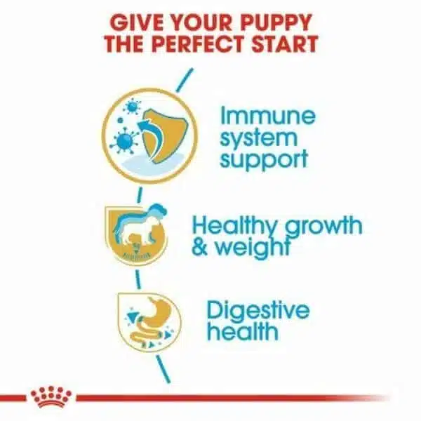 Royal Canin Labrador Retriever Puppy Dry Food (4)