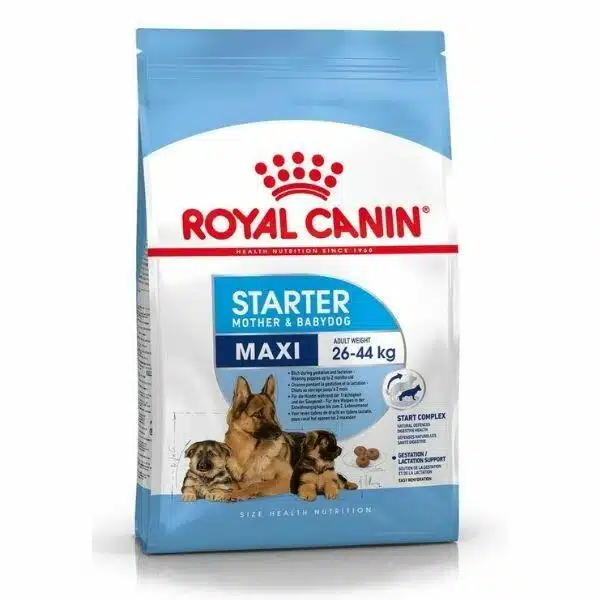 Royal Canin Maxi Starter Dry Food (1)