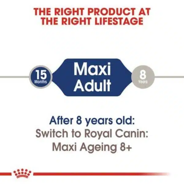 Royal Canin Maxi breed for Adult Dry Food (2)