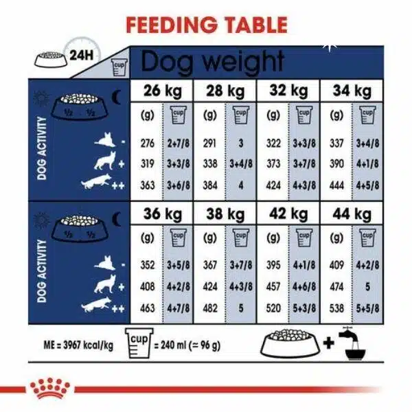 Royal Canin Maxi breed for Adult dry food (1)