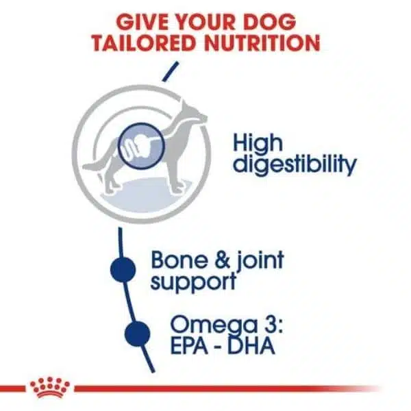 Royal Canin Maxi breed for Adult dry food (2)