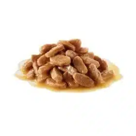 Royal Canin Maxi breed for Puppy Dry Food (1)