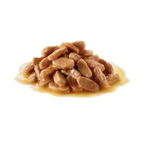 Royal Canin Maxi breed for Puppy Dry Food (1)