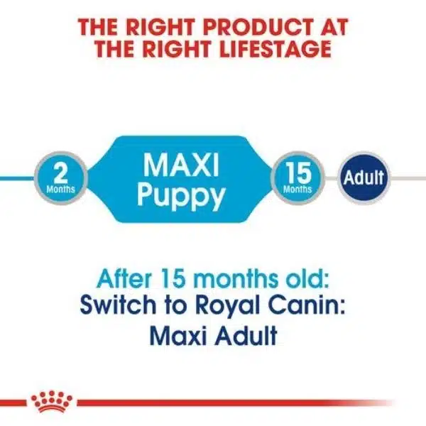 Royal Canin Maxi breed for Puppy Dry Food (3)