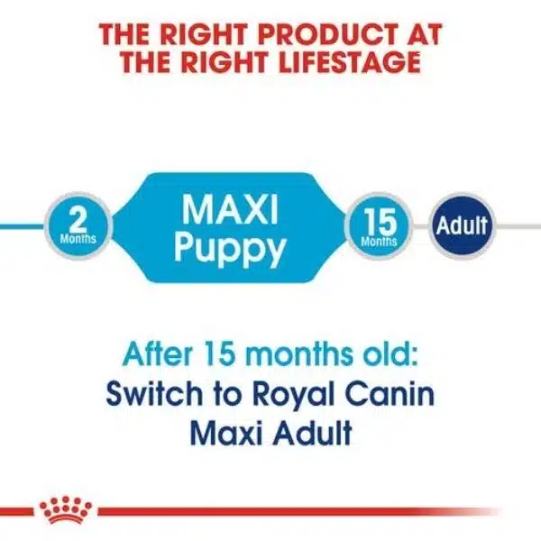 Royal Canin Maxi breed for Puppy dry food (2)