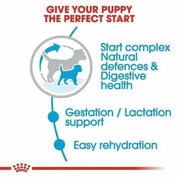 Royal Canin Mini Starter Dry Food (3)