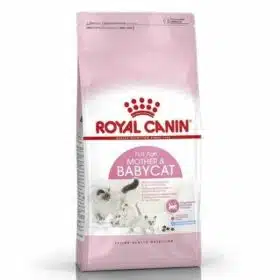 Royal Canin Mother & babycat for Kitten Dry Food