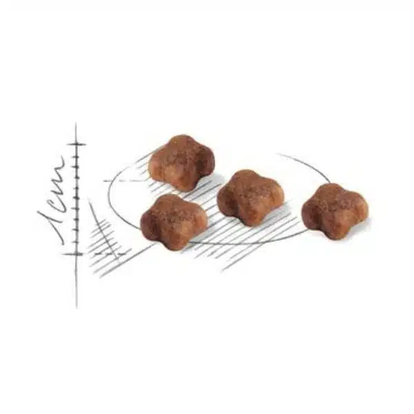 Royal Canin Mother & babycat for Kitten Dry Food (1)