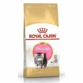 Royal Canin Persian Cat for Kitten dry food