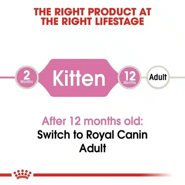 Royal Canin Second Age for Kitten Dry Food (1)