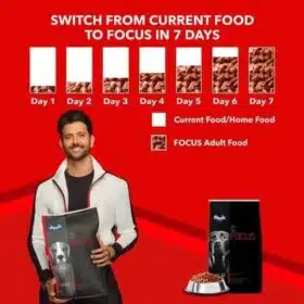 drools-focus-adult-dog-food-12kg