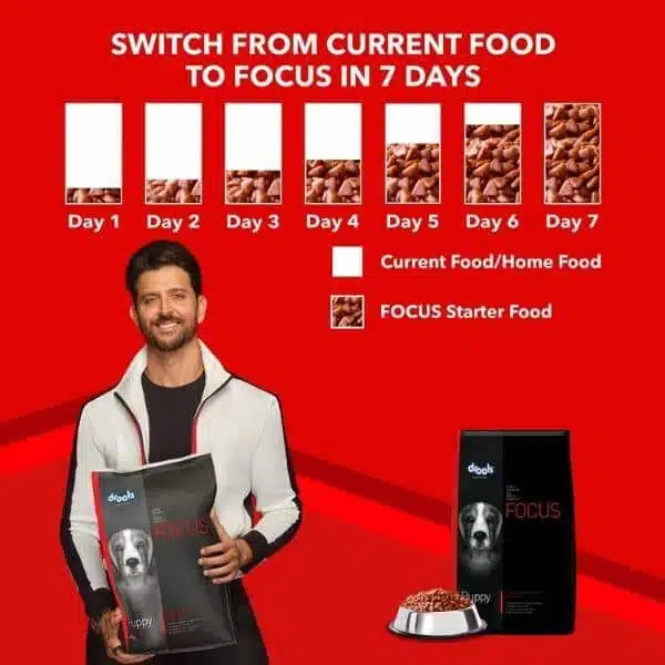 drools focus dog food