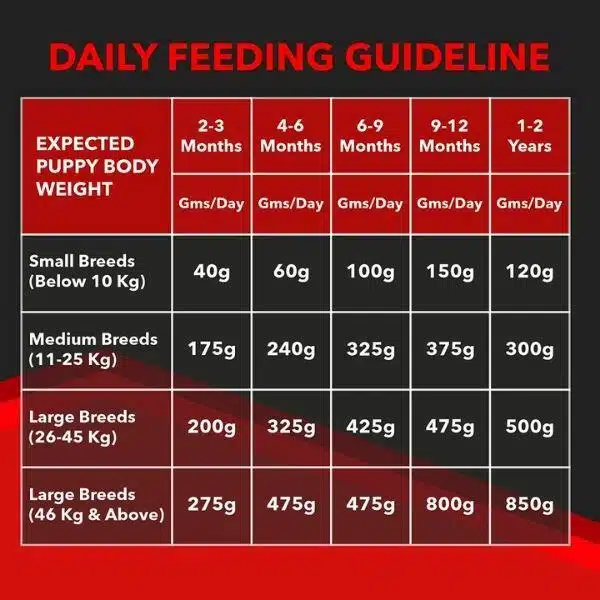 drools focus dog food