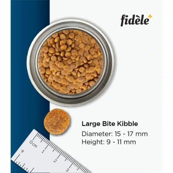 Fidele Plus Large Breed Adult Dry Dog Food