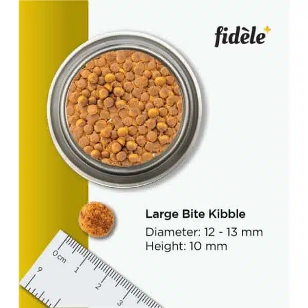 Fidele Plus Large Breed Puppy Dry Dog Food