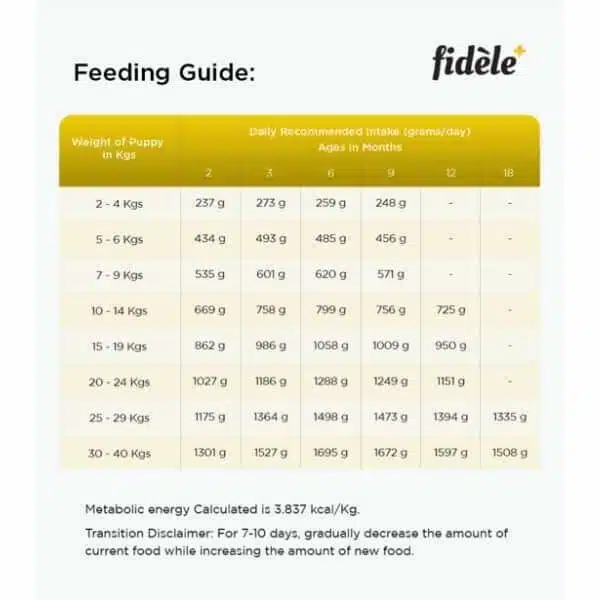 Fidele Plus Large Breed Puppy Dry Dog Food