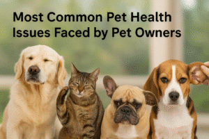 Most Common Pet Health Issues Faced by Pet Owners