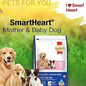 smart heart mother and baby dog food