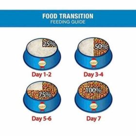 smartheart Food Transition feeding guide