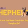 What are the Best Foods for German Shephards?