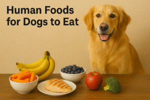 Human Foods for Dogs to Eat