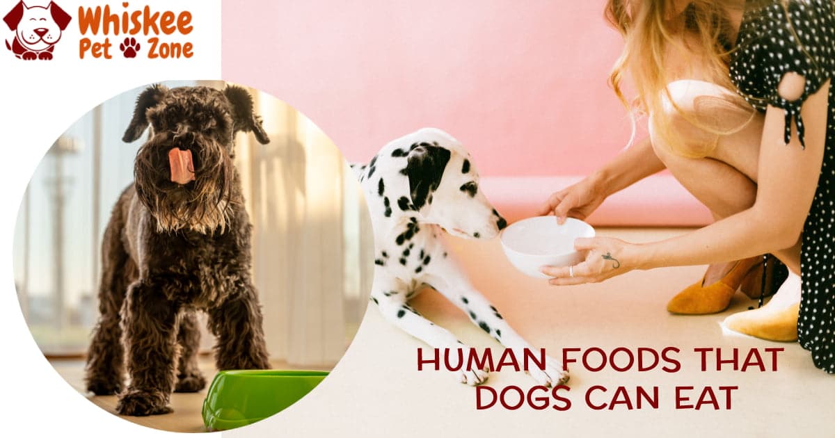 Human Foods for Dogs to Eat