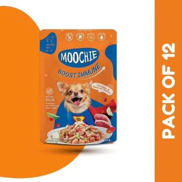 BOOST IMMUNE (POUCH) PACK OF 12