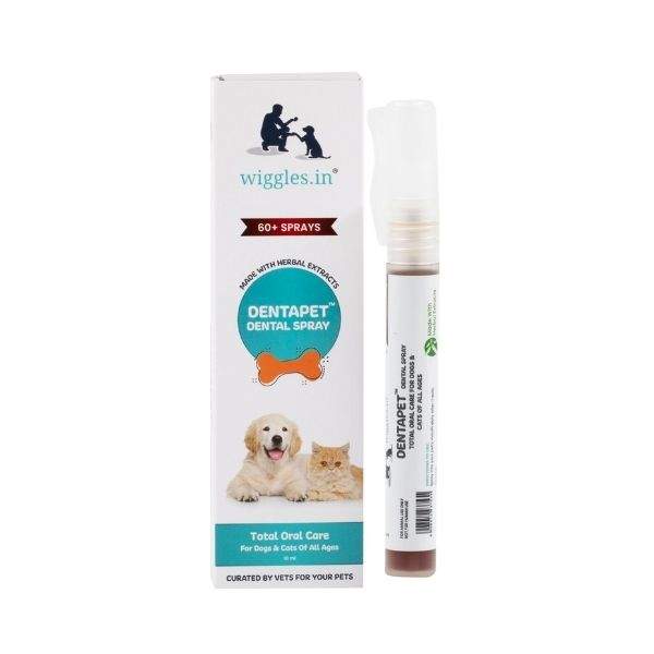 dog toothpaste spray