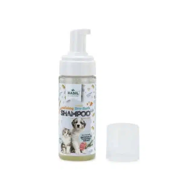 Basil Dry Bath Foam Shampoo (1)