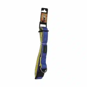 Basil Padded Collar for dogs