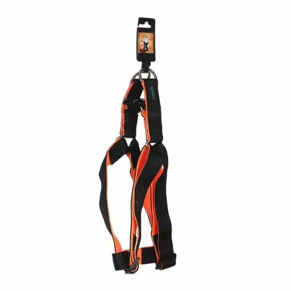 Basil Padded body Harness for dogs