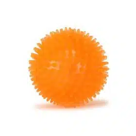 Basil Spike Squeaky Ball Toy (1)