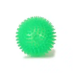 Basil Spike Squeaky Ball Toy (2)